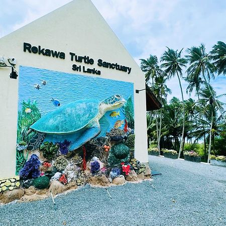 Shine Wave Turtle Beach Тангалле Екстер'єр фото