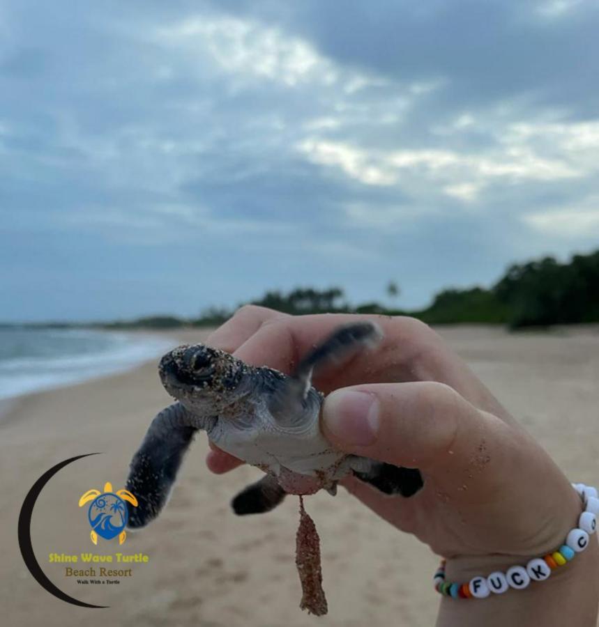 Shine Wave Turtle Beach Тангалле Екстер'єр фото