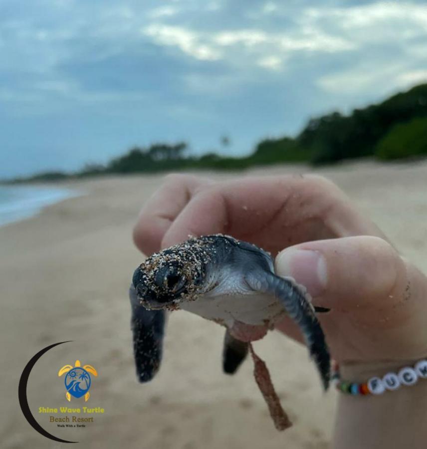 Shine Wave Turtle Beach Тангалле Екстер'єр фото